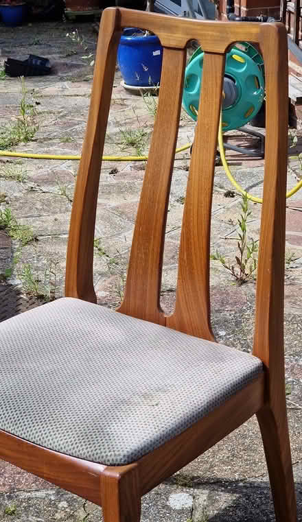 Photo of free Dining Chairs (x6) (DA14) #1