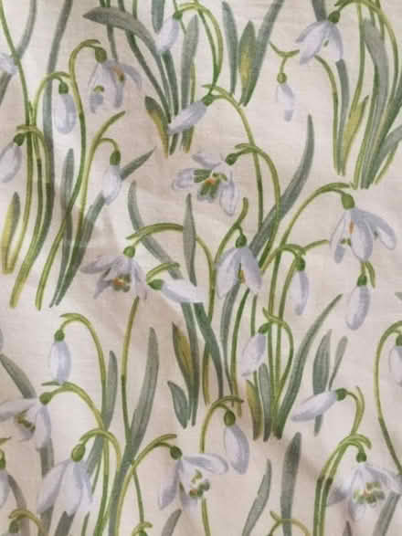 Photo of free Curtains (High Newton LA11) #2