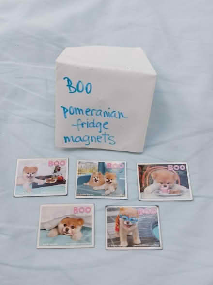Photo of free Fridge magnets (Radcliffe M26) #1