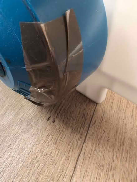 Photo of free Dumbbell set (Skipton BD23) #2