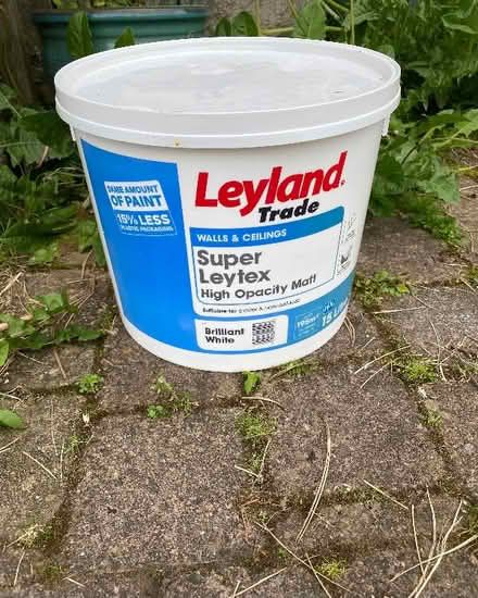 Photo of free White paint for walls and ceilings (Burneside LA9) #1