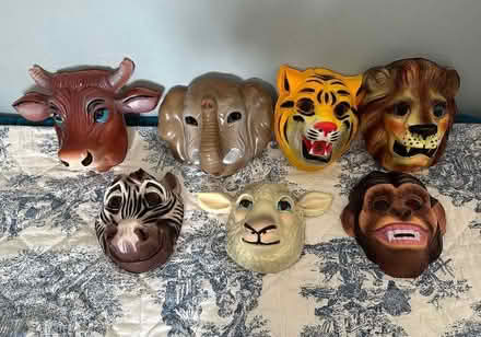 Photo of free Set of animal face masks (Eastbourne BN21) #1