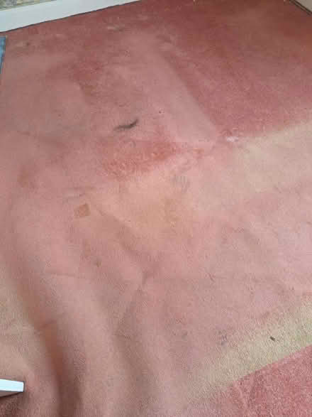 Photo of free Old pink carpet (Weybridge, KT13) #1