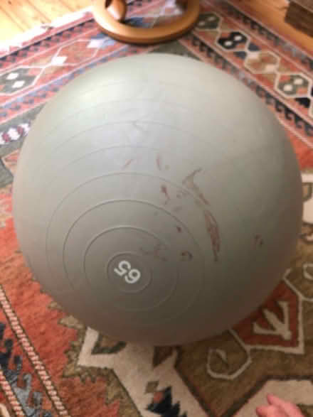 Photo of free Exercise ball (St Pauls Ward GU15) #1