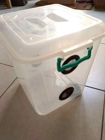 Photo of free (Stick) insect habitat (Loughborough Junction SE5) #2