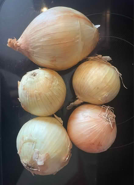 Photo of free Onions (NW Littleton / SW Lakewood) #1