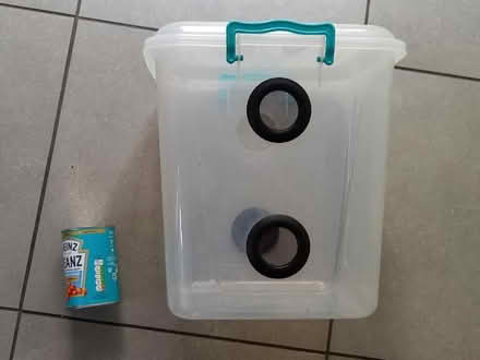 Photo of free (Stick) insect habitat (Loughborough Junction SE5) #1