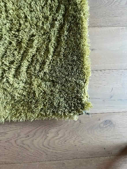 Photo of free Green Next rug (Thorpe St Andrew NR7) #3