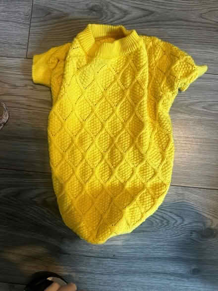 Photo of free Dog jumper and harness (G78) #3