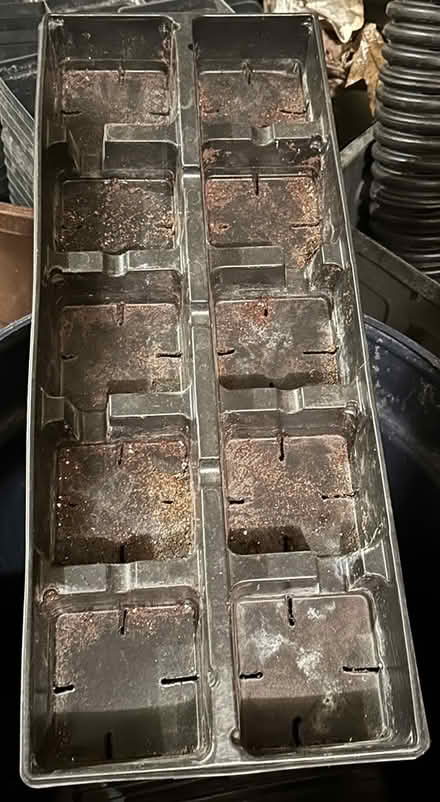 Photo of free Potting Trays & Pots (Port Murray, NJ) #1
