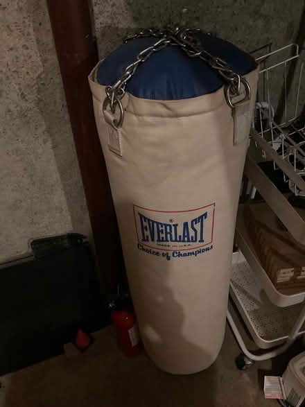 Photo of free Everlast brand Kick Bag (Shirley/Mastic Beach) #1