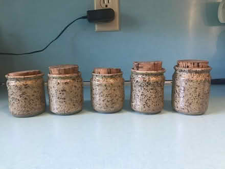 Photo of free 5 pottery spice jars (Groton, MA 01450) #1