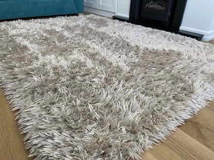 Photo of free Large rug (Paignton) #3
