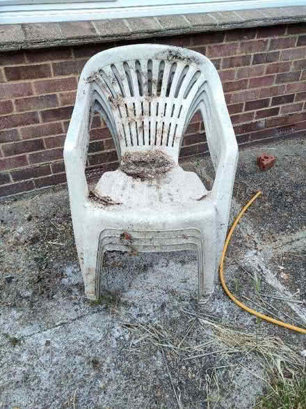 Photo of free Garden chairs (Chelmsford CM1) #2