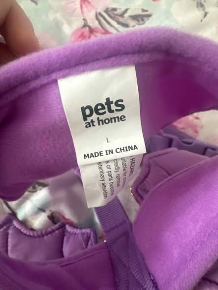 Photo of free Dog harness (G78) #2