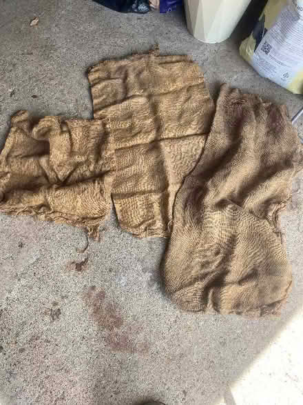 Photo of free Hessian sacks (Swanley BR8) #1
