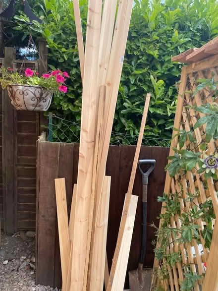 Photo of free Wood (Shurdington) #1