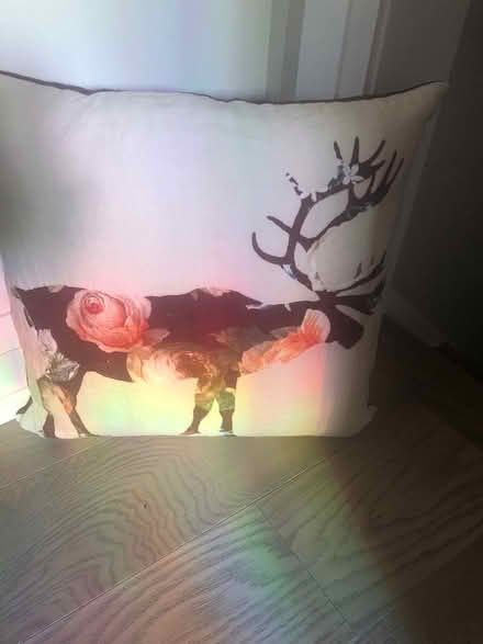 Photo of free Moose pillow (Britannia & Creditview) #1