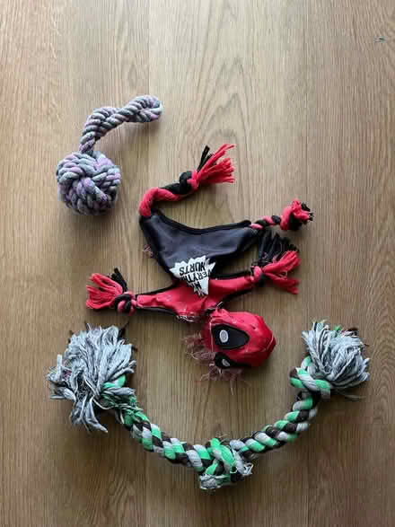 Photo of free Dog toys and harness (Hurley NY) #3