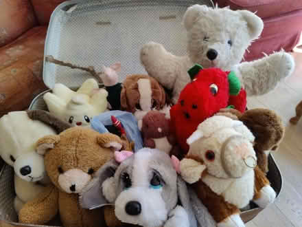 Photo of free soft toys (Kentwood RG31) #1