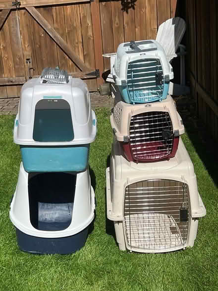 Photo of free Pet carriers and litter boxes (Ballard) #1