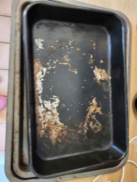 Photo of free Baking trays (Roffey RH12) #2