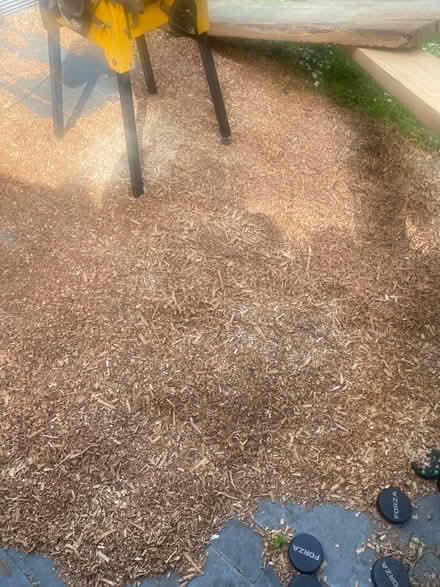 Photo of free Fresh oak planer shavings (BS10) #1