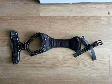 Photo of free Dog toys and harness (Hurley NY) #2