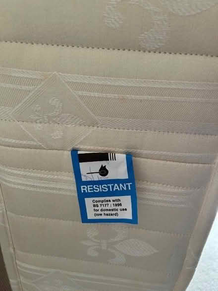 Photo of free Staples single mattress (Chiswick W4) #3