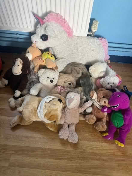 Photo of free Teddies (Mile Cross NR3) #1