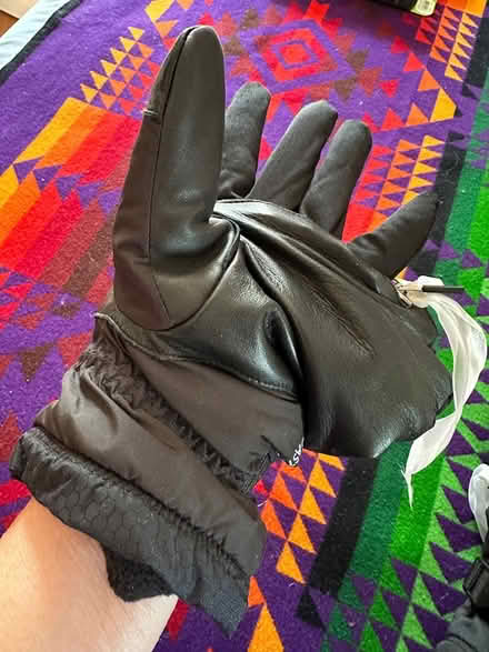 Photo of free SWANY Mittens/fingers inside (Heritage District, Sunnyvale) #2