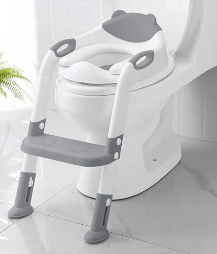 Photo of Toilet Training Seats/ Ladder (Danbury near mall) #1