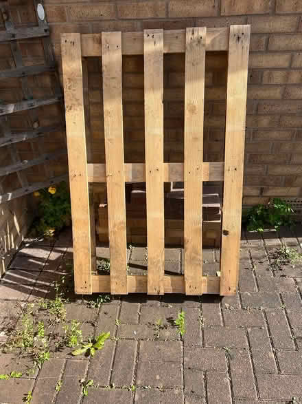 Photo of free Pallet (EH54) #1