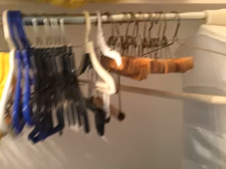 Photo of free Hangers (Springfield (Delco)) #2