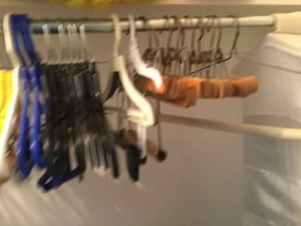 Photo of free Hangers (Springfield (Delco)) #2
