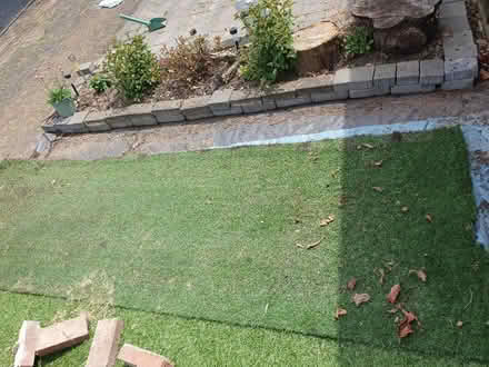 Photo of free Roll of astroturf (BS15) #1