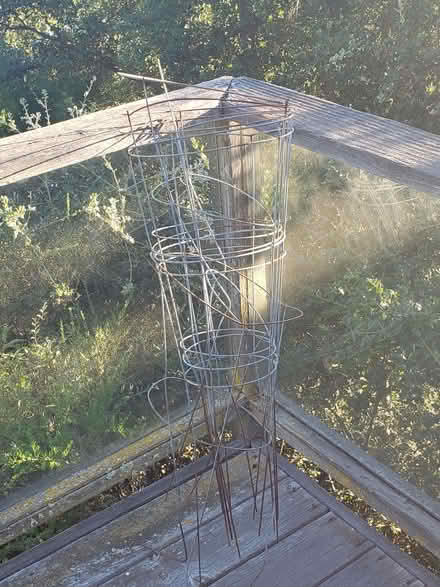 Photo of free Circular Trellises/Tomato 🍅 Cages (Vallejo CA) #1