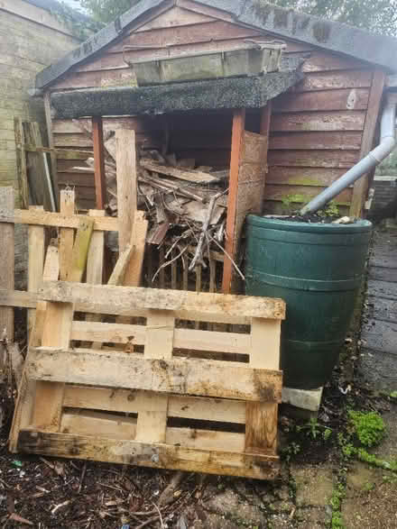 Photo of free A pallet and some wood for kindling (Lingwood NR13) #1