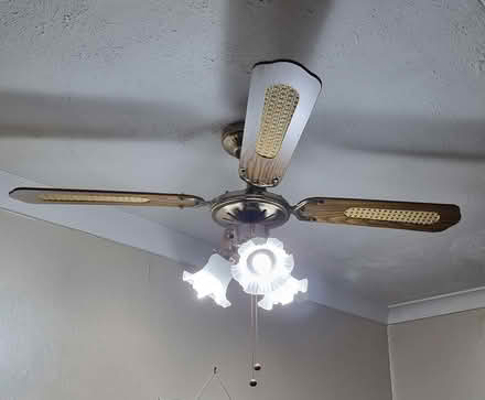 Photo of free Ceiling light/fan (Kirkmuirhill) #3