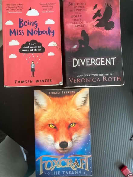Photo of free Books (CM2) #1