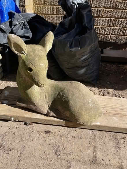 Photo of free Garden Deer (The Rowans Baldock) #1