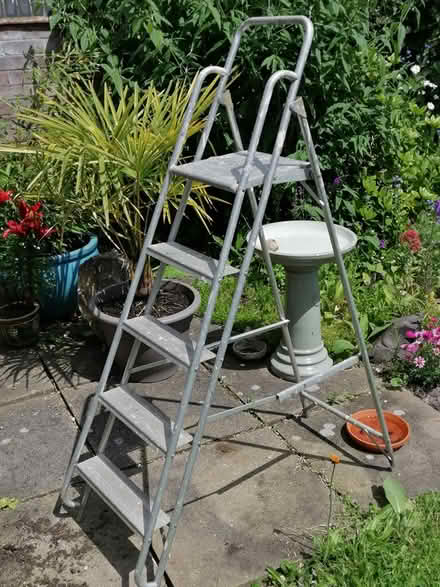 Photo of free Step Ladder (Barton under Needwood DE13) #1