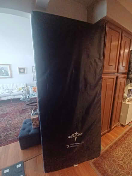 Photo of free Electric Patient Bed with Mattress (springfield) #2