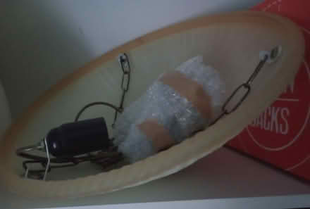 Photo of free Glass pendant light shades (Wirksworth, DE4) #2
