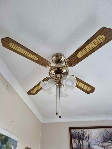 Photo of free Ceiling light/fan (Kirkmuirhill) #1