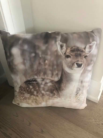 Photo of free Reindeer pillow (Britannia & Creditview) #1