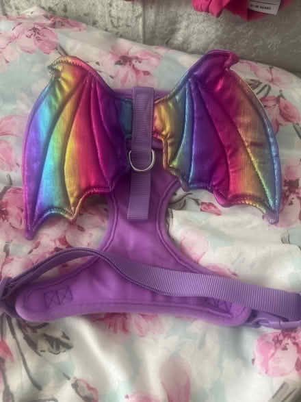 Photo of free Dog harness (G78) #1