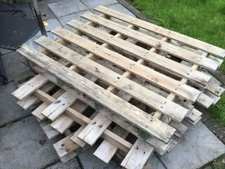 Photo of free Pallets (Stokesley TS9) #1