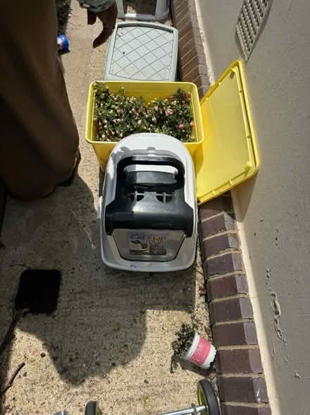 Photo of free Two different kinds of cat litter trays (toilets) (E8) #1