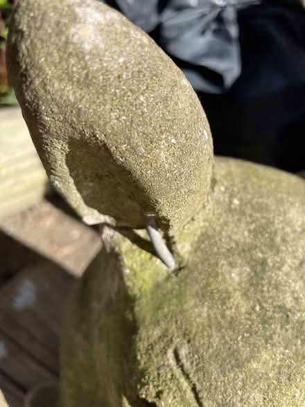 Photo of free Garden Deer (The Rowans Baldock) #2